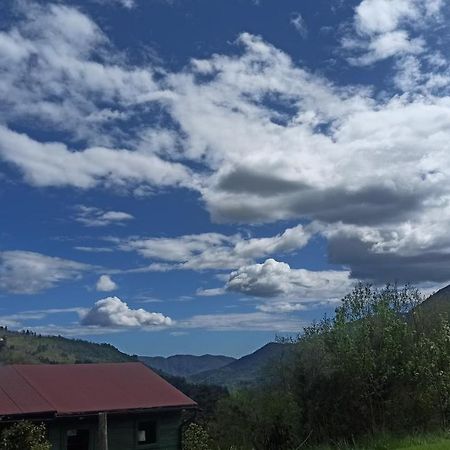 Agriturismo Il Mulino Stibiveri Eksteriør billede